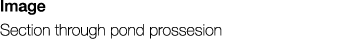 Image Section through pond prossesion